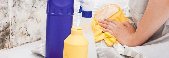 Reinigungsmittel vor schimmiger Wand